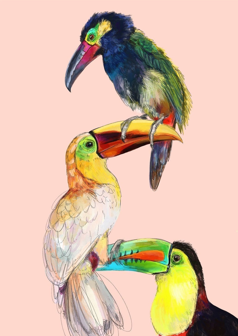 Tower Of Toucans Giclée Art Print The Gathering Art Print