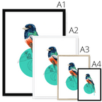 Blue Crowned Trogon Framed Print Drippy Birds Framed Print