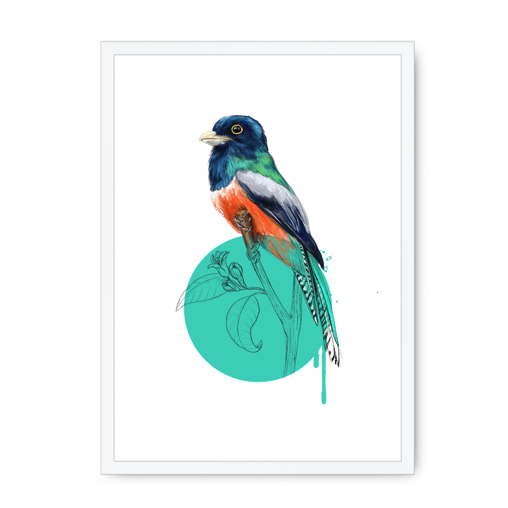 Blue Crowned Trogon Framed Print Drippy Birds A3 (297 X 420 mm) / White / No Mount (All Art) Framed Print