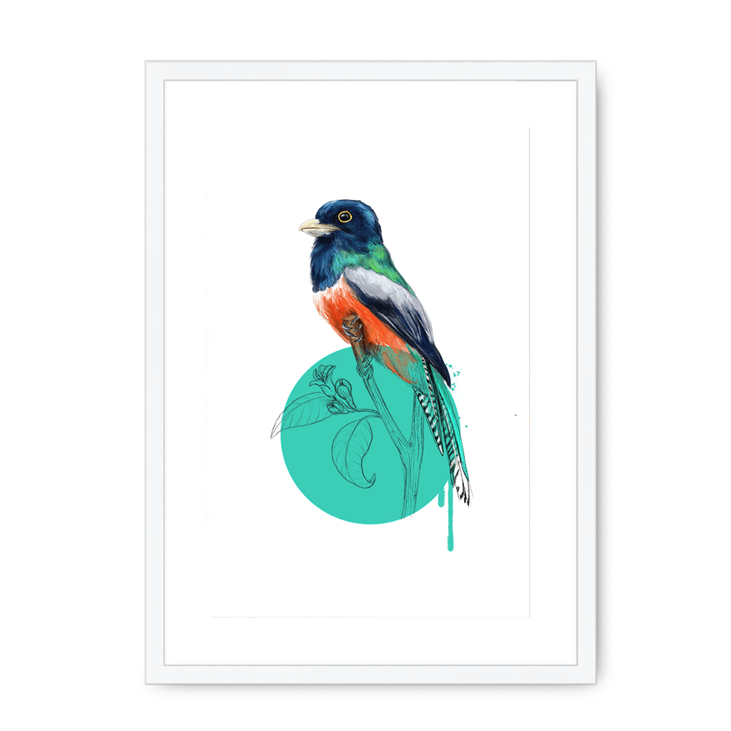 Blue Crowned Trogon Framed Print Drippy Birds A3 (297 X 420 mm) / White / White Mount Framed Print
