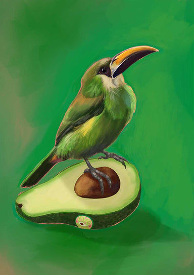 Avocado Aulacorhynchus (Green Toucanet) Giclée Art Print Sticky Beaks Art Print