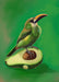 Avocado Aulacorhynchus (Green Toucanet) Giclée Art Print Sticky Beaks Art Print