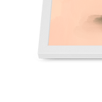 Watermelon Lovebirds Framed Print The Gathering Framed Print