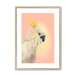 CockaTwos White Framed Print CockaTwos A3 (297 X 420 mm) / Natural / White Mount Framed Print