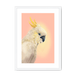 CockaTwos White Framed Print CockaTwos A3 (297 X 420 mm) / White / White Mount Framed Print