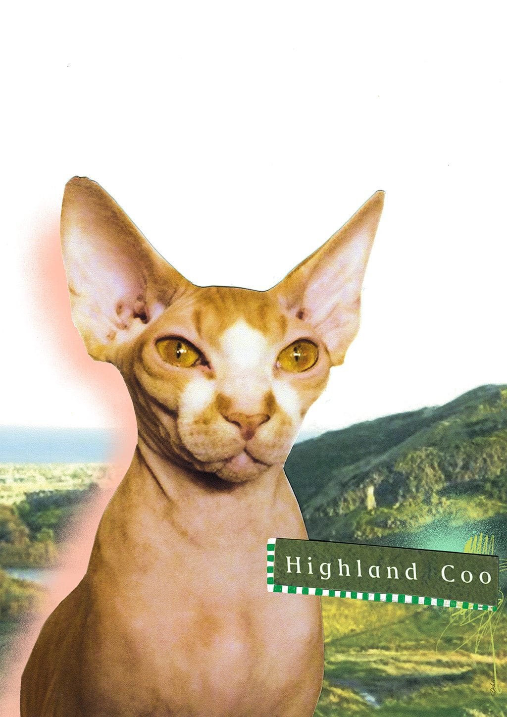Highland Coo Matte Art Print Cat Cafe Art Print