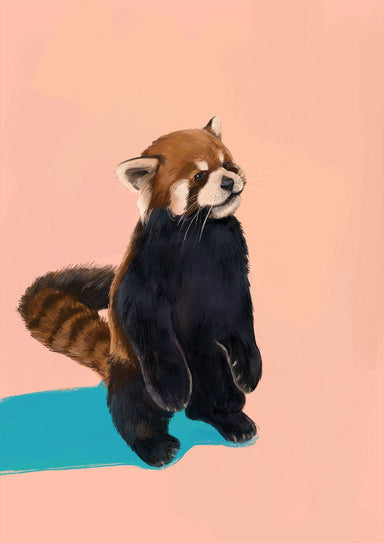 Red Panda PB Giclée Art Print Food Fur & Feathers Art Print