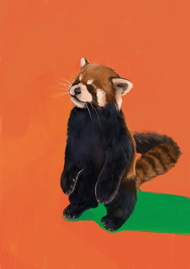 Red Panda OG Giclée Art Print Food Fur & Feathers Art Print